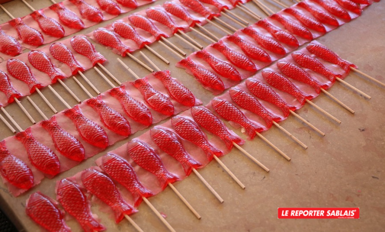 Fontenay-le-Comte. Des expériences sur les bonbons Schtroumpf pour les  apprentis scientifiques - Les Sables d'Olonne.maville.com